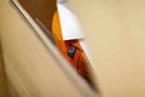 pillow-in-Karton paleo chair