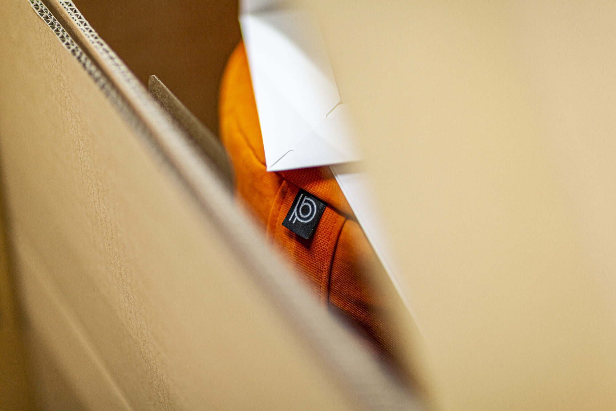 pillow-in-Karton paleo chair