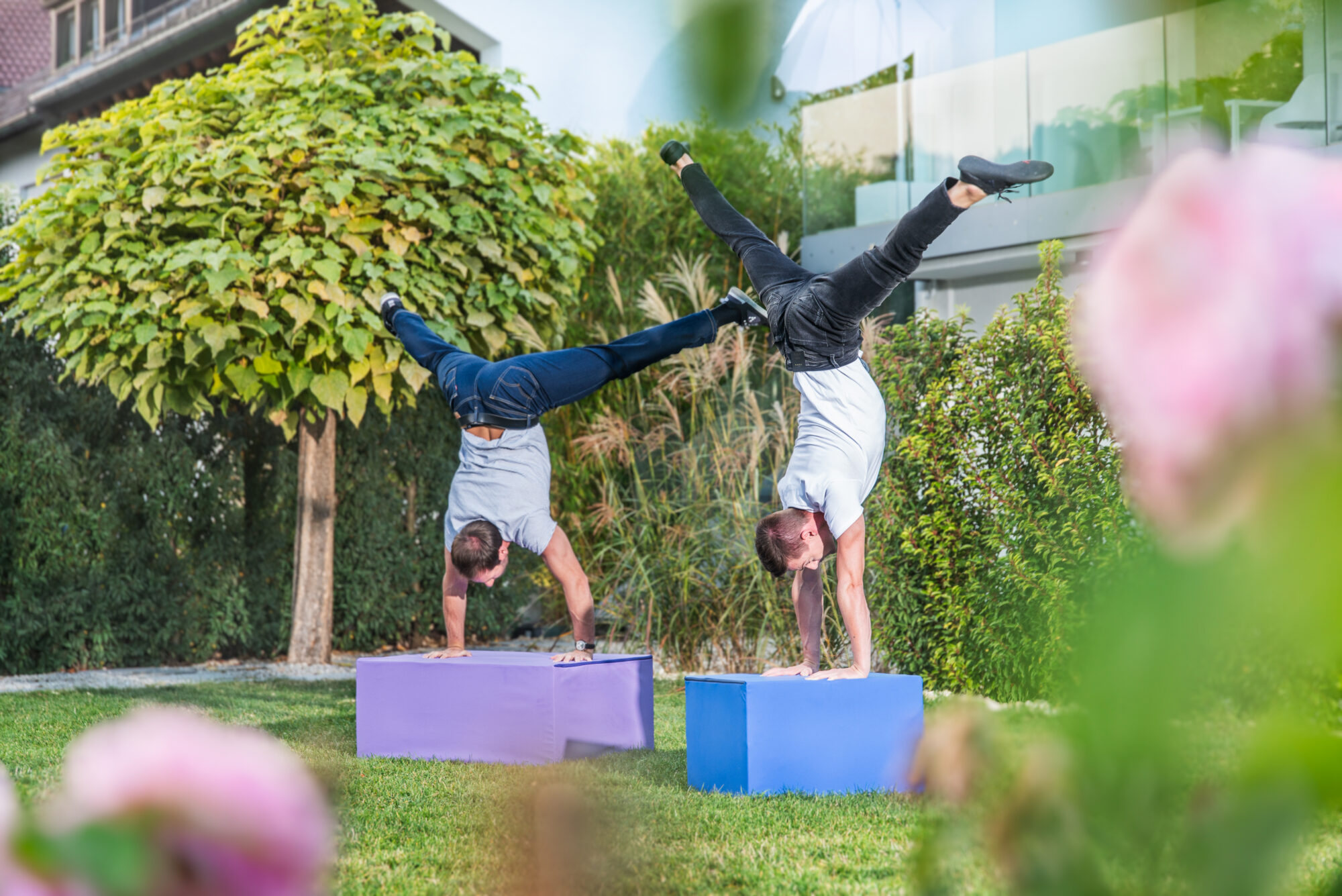 Toni-Rapha-Handstand paleo chair